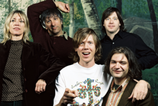 Sonic Youth Share ‘In & Out,’ Announce New Collection In/Out/In