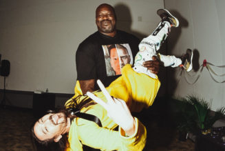 Steve Aoki Announces Collab With DJ Diesel, “Welcome to the Playhouse”