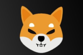 Team Behind Shiba Inu Disappointed With Coinmarketcap for listing 3 Fake Shib Token