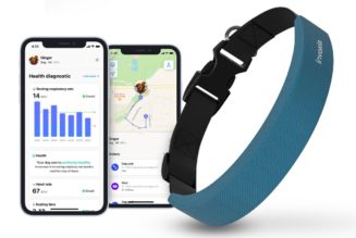 This smart collar wants to be an Apple Watch for your dog