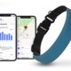 This smart collar wants to be an Apple Watch for your dog