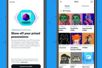 Twitter brings NFTs to the timeline as hexagon-shaped profile pictures