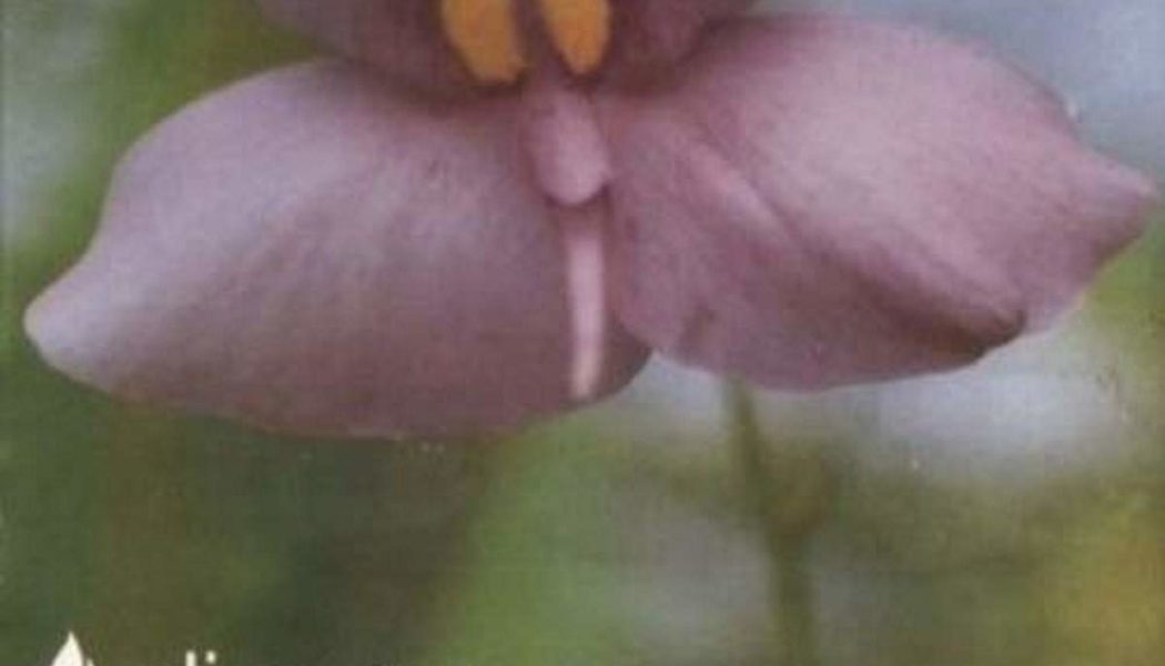 Underground Vibes | 076