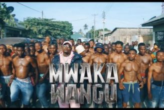 VIDEO: Harmonize – Mwaka Wangu