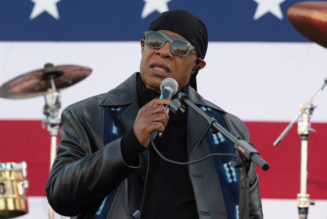 What The Fuss: Stevie Wonder Slams Senators Hesitant On Voting Rights