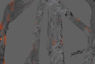 9 Albums Out This Week You Should Listen to Now