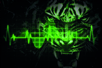 A New Heartbeat – TYGERS OF PAN TANG
