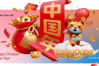 Baby Doges Burn 4.8 Quadrillion Token Worth $20 Million in February