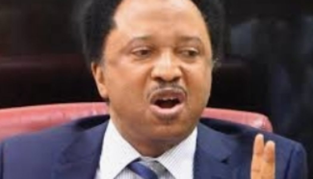 Bill in the House of Reps proposing the scraping of NSCDC is unnecessary – Senator Shehu Sani
