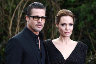 Brad Pitt Sues Angelina Jolie for Selling Winery Stake to Russian Oligarch