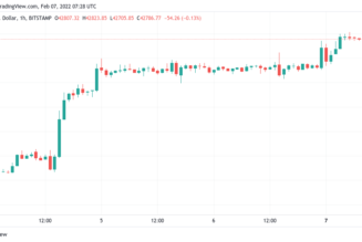 BTC price returns to $43K — 5 things to watch in Bitcoin this week