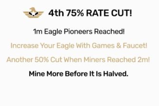 Eagle Network teams revealed When to release it Blockchain