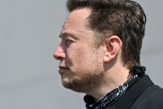 Elon Musk tells a judge the SEC’s ‘endless’ investigation is stifling his free speech