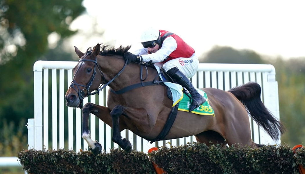 Haydock Racing Tips: Our NAP, NB & Best EW Bets for 19 February Fixture
