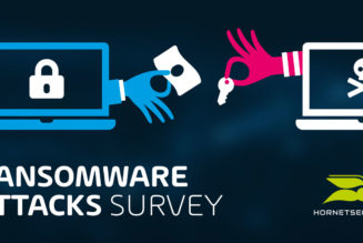 Hornetsecurity global ransomware survey reveals the ‘stinging truth’