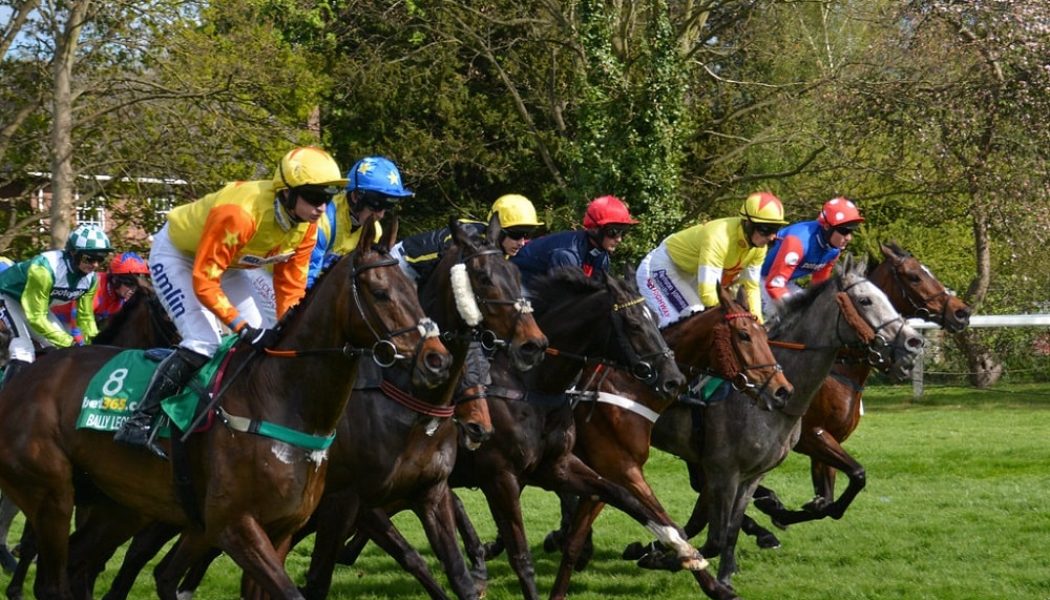 Horse racing tips today: Friday’s best UK and Ireland racing bets