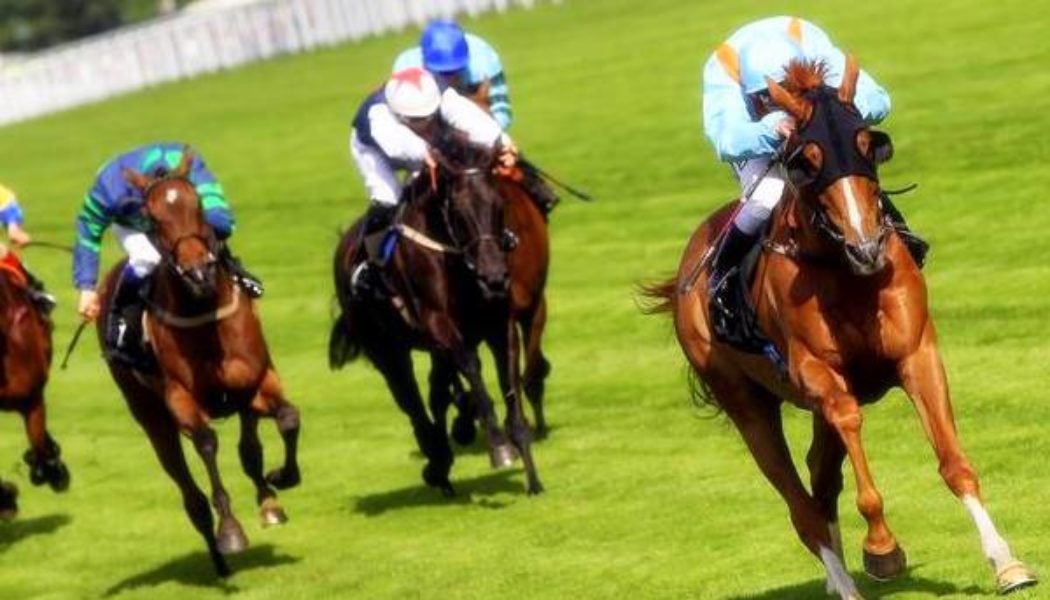 Horse racing tips today: Thursday’s best UK and Ireland racing bets
