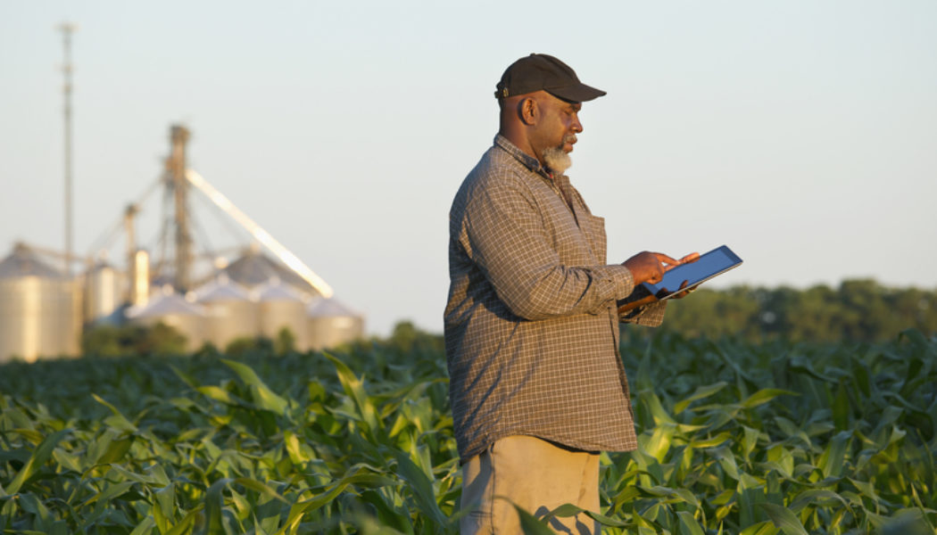 IBM Launches New Pro Bono Sustainability Accelerator in Africa