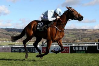 Irish Champion Hurdle Tips, Predictions & Preview – No Opposing Honeysuckle Hat-Trick at Leopardstown