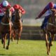 Kempton tips, predictions and odds and how to claim a free bet for Saturday’s races