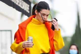 Kendall Jenner’s Latest Look Reminds Me of McDonald’s—I’m Loving It