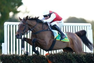 Lucky 15 Tips: Four horses to back on Saturday 26th February