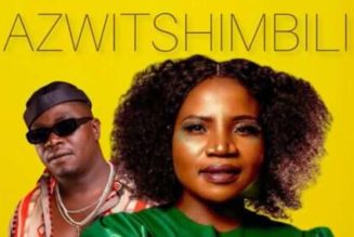 Makhadzi ft Mr Brown – Azwitshimbili