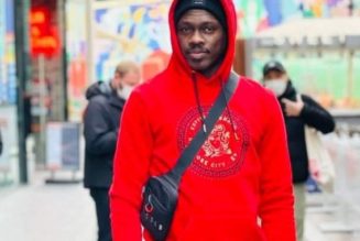 Many people that Quit struggling Didn’t realize how close they are to there Success – Ali Nuhi