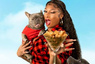 Megan Thee Stallion Is the Ultimate Dog-Mom in Her New Snapchat Show