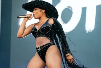 Megan Thee Stallion Shares New Cheetos Song “Flamin’ Hottie”: Listen