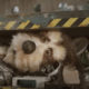 Meta’s Quest 2 Super Bowl ad takes a retired animatronic dog into the metaverse