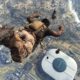 Microsoft is keeping Call of Duty on PlayStation because it wants more Minecrafts