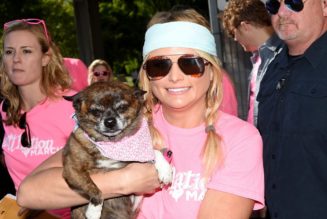 Miranda Lambert’s MuttNation Foundation Gifts $20K to Animal Shelters