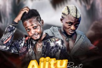 Professional Beat ft Portable – Ajitu