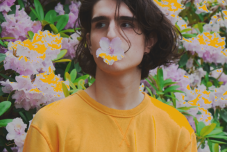 Quiet Bison Unveils Artful 30-Track Debut Album, “Dawn”: Listen