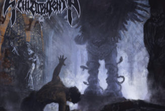 Recollections Of The Insane – SCHIZOPHRENIA