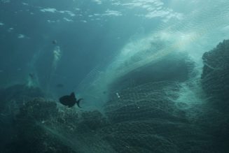 Samsung to Repurpose Fishing Nets for Future Galaxy Devices