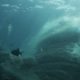 Samsung to Repurpose Fishing Nets for Future Galaxy Devices