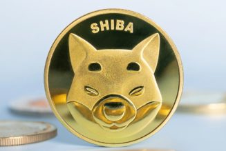 Shiba Inu leading Dogecoin in gains, SHIB up over 23% on the day