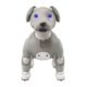 Sony Launches Aibo Robot Dog in ‘Black Sesame’ Edition