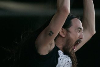 Steve Aoki Says He Made More Money From NFTs In 1 Year Than a Decade of Streaming Royalties
