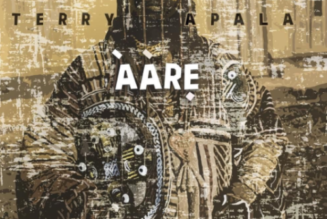 Terry Apala ft Duncan Mighty – Wetin