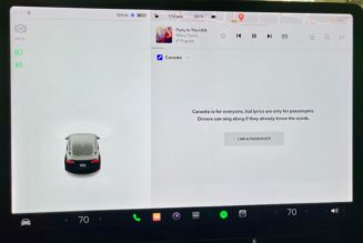 Tesla is now selling karaoke microphones in China