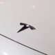 Tesla owners report dozens of instances of ‘phantom braking’