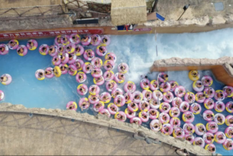 Where to Watch Every 2022 Oscar Nominated Film