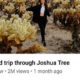 YouTube adds TikTok-style live rings to show when a channel is streaming