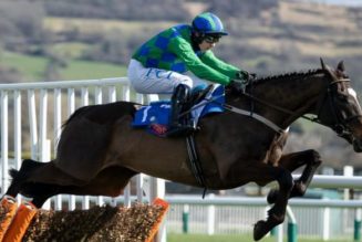 12 Paul Townend Cheltenham Rides for Leading Festival Jockey Favourite