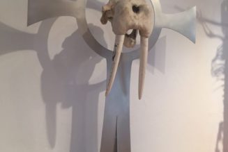 A Portrait of the Artist as A Jung Man