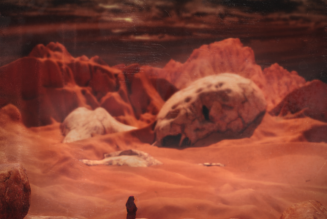 Akeos’ Production Genius Shines On Versatile EP, “Flesh Garden”