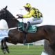 Best Bookmaker to Bet on Shishkin in the Champion Chase at Cheltenham